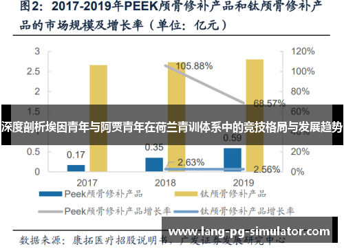 深度剖析埃因青年与阿贾青年在荷兰青训体系中的竞技格局与发展趋势 深度剖析埃因青年与阿贾青年在荷兰青训体系中的竞技格局与发展趋势