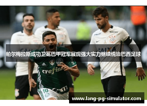 帕尔梅拉斯成功卫冕巴甲冠军展现强大实力继续统治巴西足球 帕尔梅拉斯成功卫冕巴甲冠军展现强大实力继续统治巴西足球