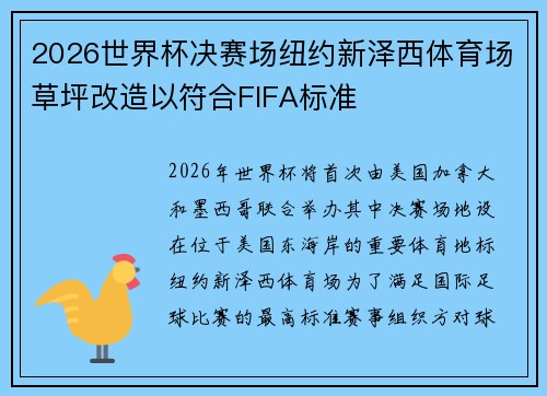 2026世界杯决赛场纽约新泽西体育场草坪改造以符合FIFA标准